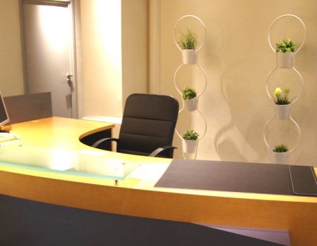 Centre d'Affaires Les Négociants (Lyon 2e)